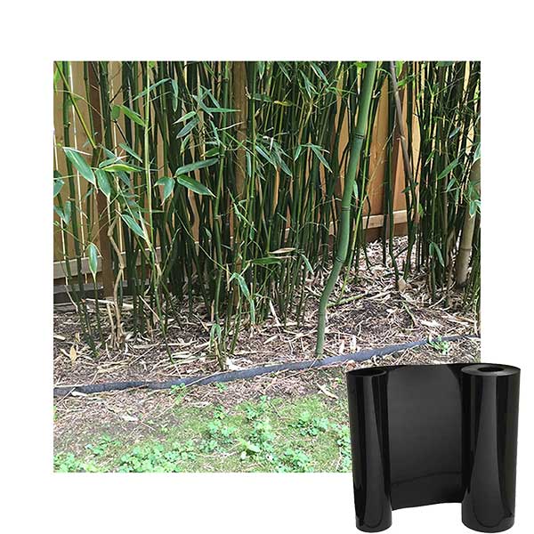 How to contain bamboo in front of a fence